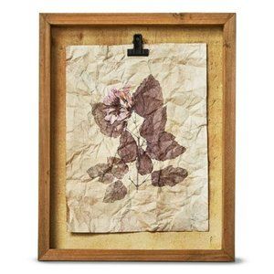 Herbarium Wildflower Shadow Box Wall Art- Blush